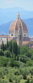 duomo from SE hillside above Florence